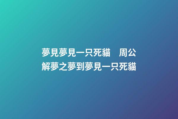 夢見夢見一只死貓　周公解夢之夢到夢見一只死貓